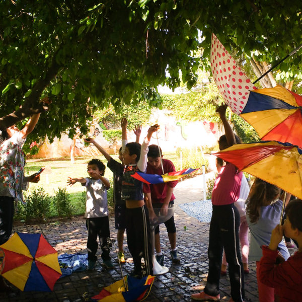 Crianças colhem amoras durante a chuva