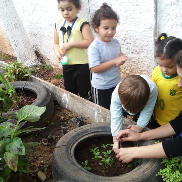 Aluno plantando ervas