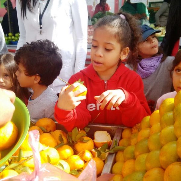 Criança observa fruta