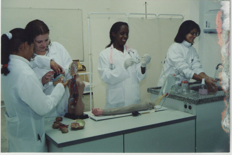 Parcerias de Sucesso